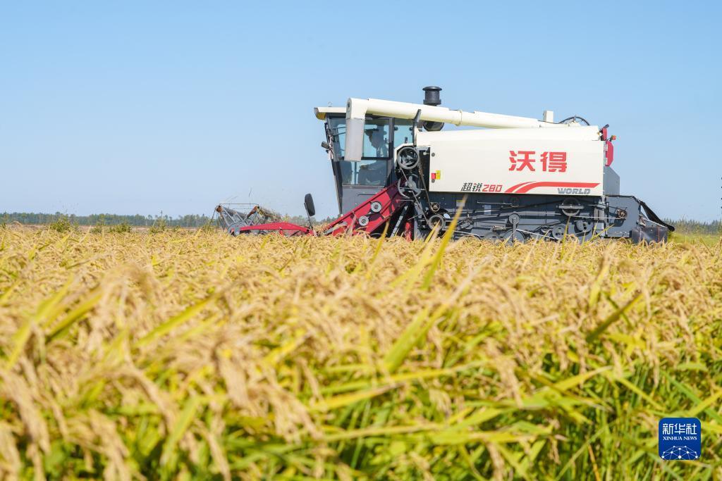 捕鱼游戏赚钱换人民币的有哪些